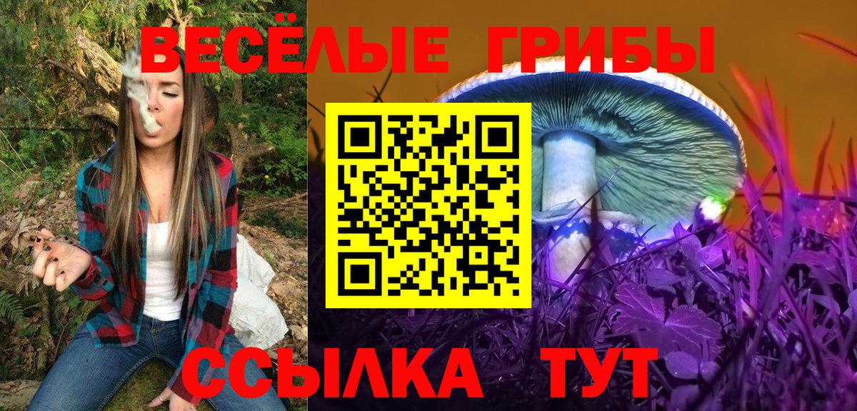 Мелеуз  Псилоцибиновые грибы Psilocybine cubensis  Вход с VPN  Галлюциногенные грибы Cubensis 